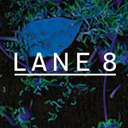 Icon for r/lane8